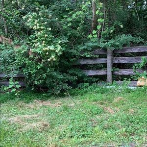 Meet your Posher, Doug